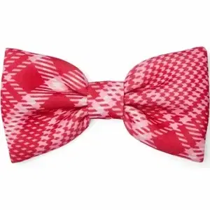 Adee Leighton Hair Bow